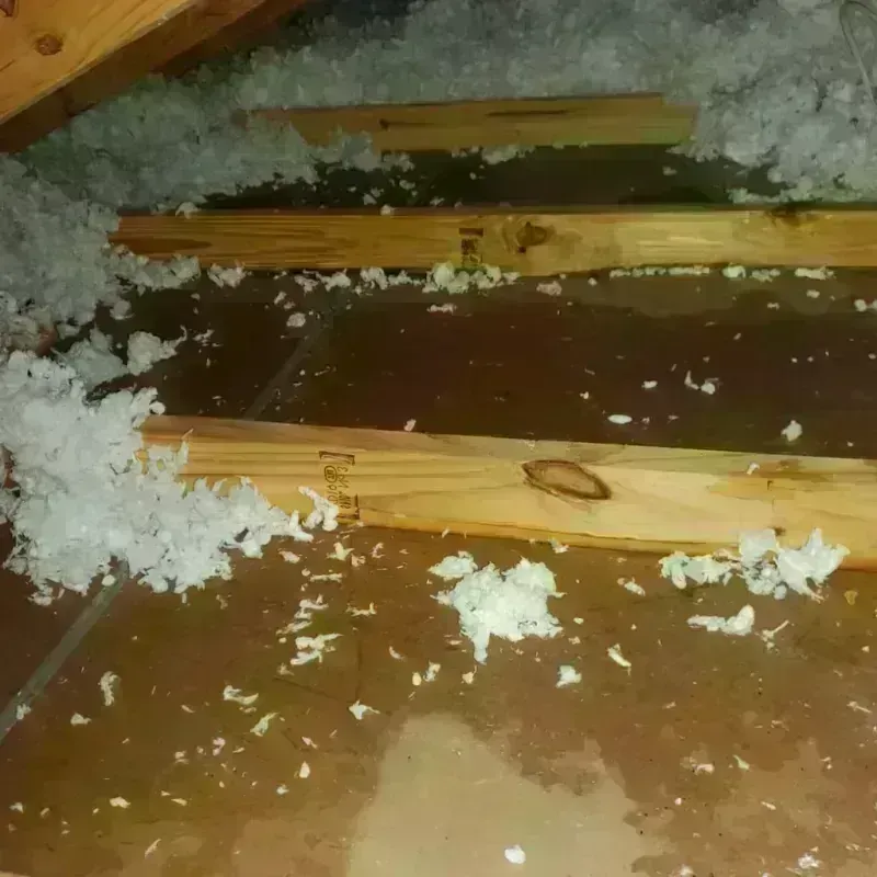 Attic Water Damage in Norton, VA