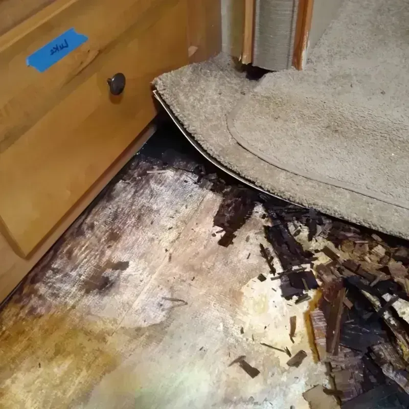 Wood Floor Water Damage in Norton, VA